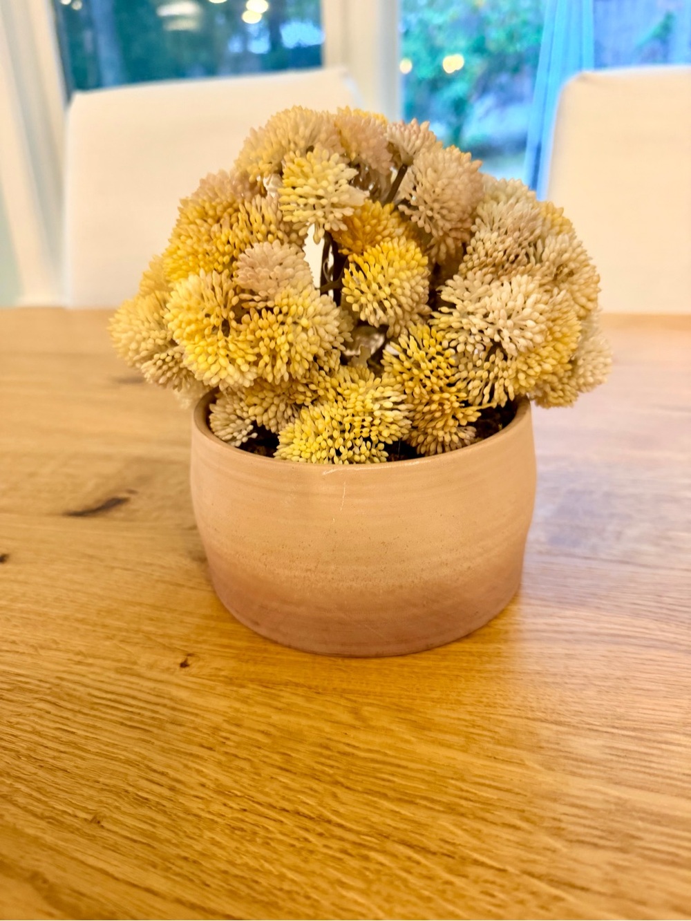 Target Yellow Dried Floral Arrangement in Tan Ceramic Planter